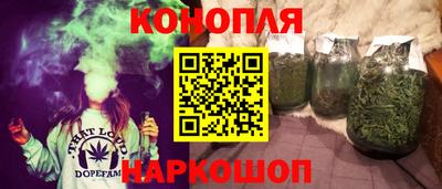 гидра Будённовск