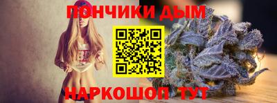 гидра Будённовск