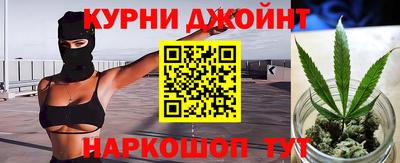 гидра Будённовск