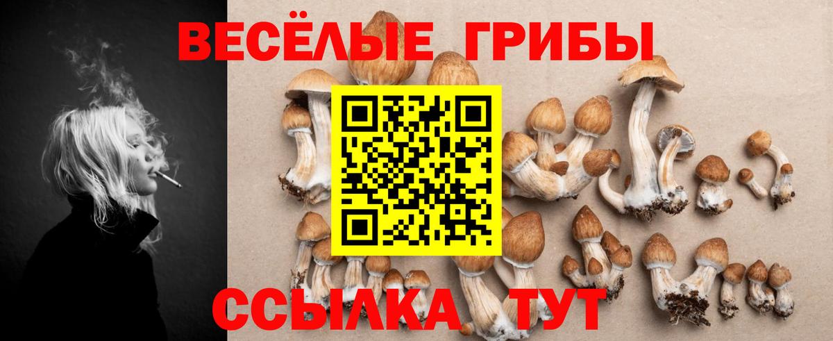 Псилоцибиновые грибы Psilocybine cubensis Тельмана